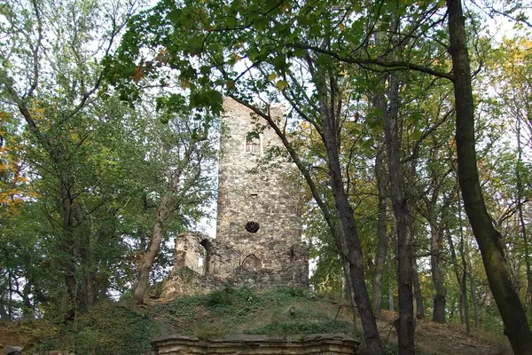 Rozhledna Cibulka
