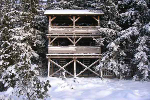 Rozhledna Jezerní slať