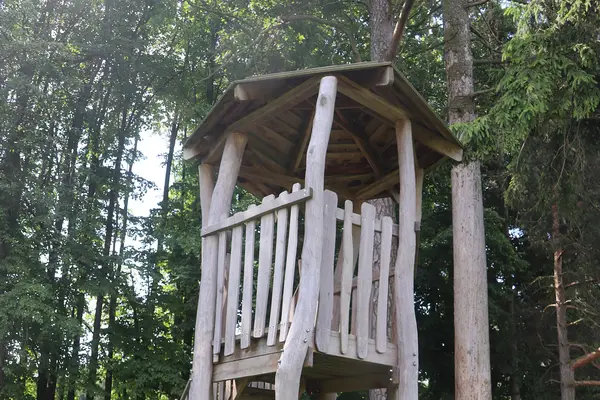 Rozhledna pod lesem