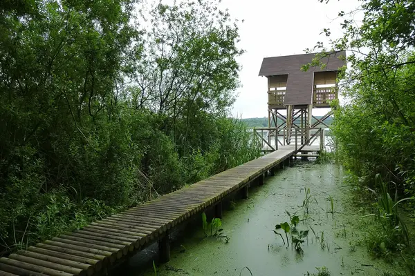 Ptačí pozorovatelna na Novozámeckém rybníce
