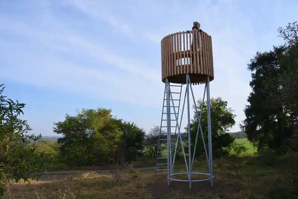 Rozhledna Silo