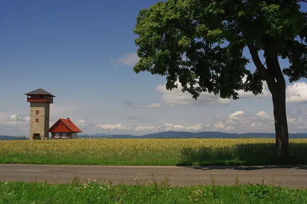 Rozhledna U borovice