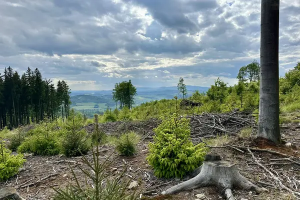 Vachatova rozhledna
