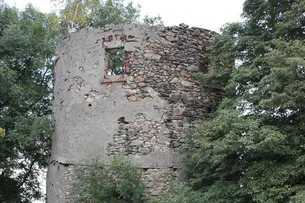 Rozhledna Větrný mlýn Vysoký