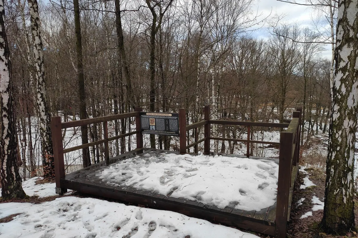 Vyhlídková plošina v Zoo Ostrava