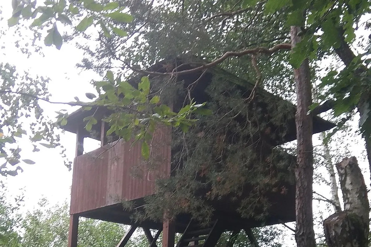 Vyhlídková věž Lomnice
