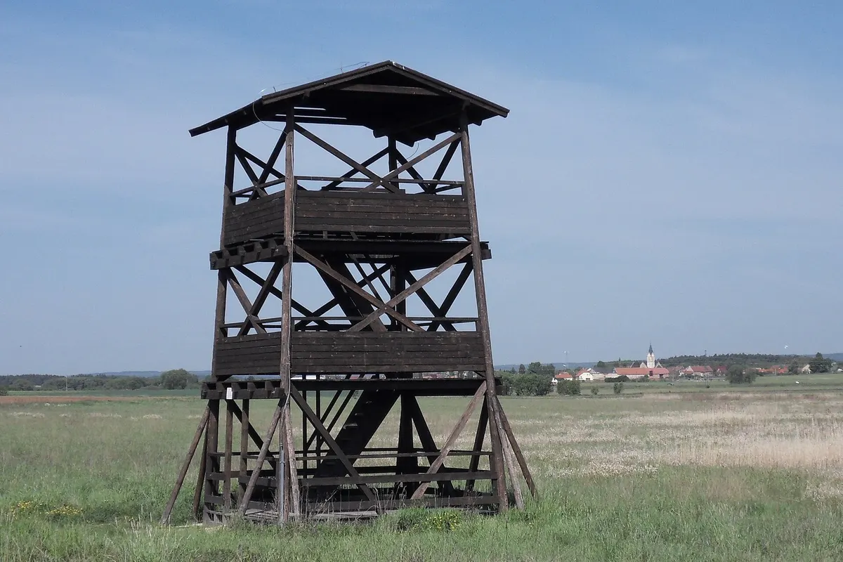 Vyhlídková věž Nový rybník